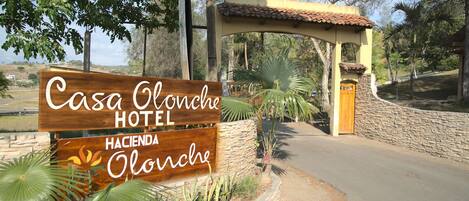 A wooden sign for Casa Oloviche Hotel with a stone wall and palm plants.