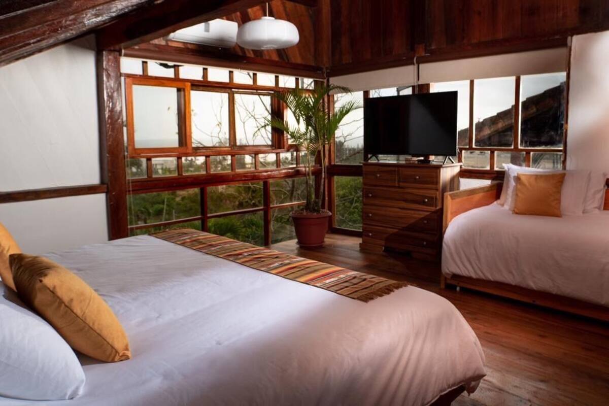 Une chambre avec deux lits, une télévision, des meubles en bois et de grandes fenêtres.
