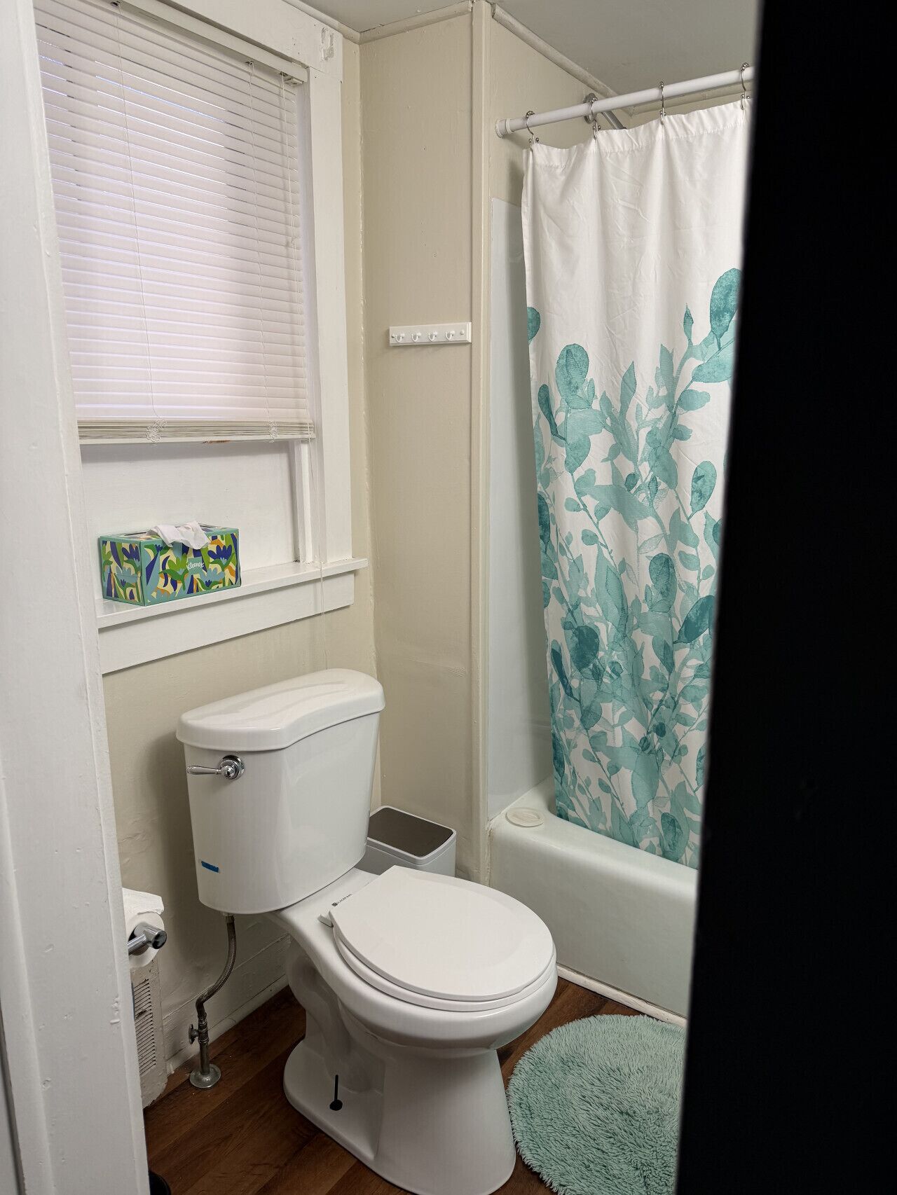 Combined shower/tub, hair dryer, towels, soap