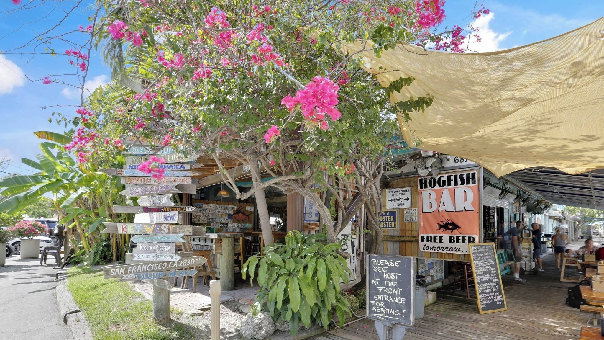 A rustic bar with a signboard advertising free beer, surrounded by lush greenery and a variety of directional signs.