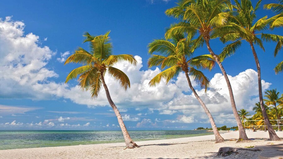 Casa Grande by Avantstay Dt Key West Near South Beach w/ Pool