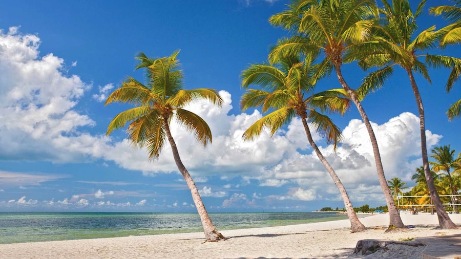 Casa Grande by Avantstay Dt Key West Near South Beach w/ Pool