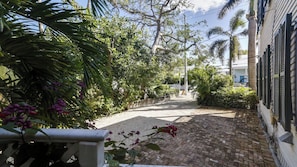 Un patio empedrado con un camino de ladrillo, rodeado de abundante vegetación y palmeras.