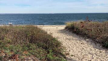 Plage à proximité, chaises longues, serviettes de plage