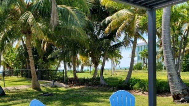 A covered outdoor seating area with two blue Adirondack chairs and a small table, surrounded by palm trees and a view of the ocean. - Charming 2 bed, 2 bath cottage 100 feet from private sandy ocean beach (Islamorada)