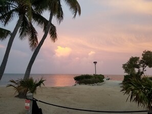 Property grounds - Charming 2 bed, 2 bath cottage 100 feet from private sandy ocean beach (Islamorada)