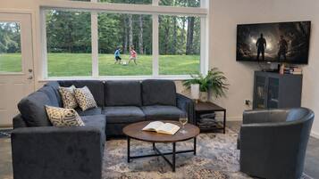 TV connectée, cheminée, lecteur de DVD, livres