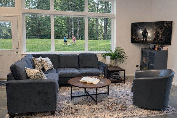 Smart TV, fireplace, DVD player, books