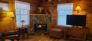 Smart TV, fireplace, books