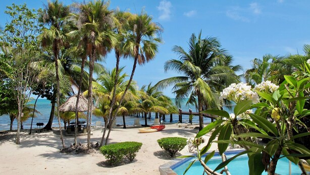 A beach with palm trees, a thatched-roof hut, lounge chairs, a pool, and a boat. - 2BR Beachfront Bungalow-Pool & Oceanfront-Views (Placencia)