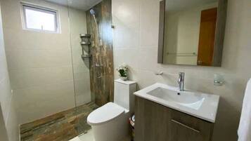 Combined shower/bathtub