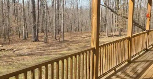 Serene Cottage & Wooded Retreat w Huge Porch!