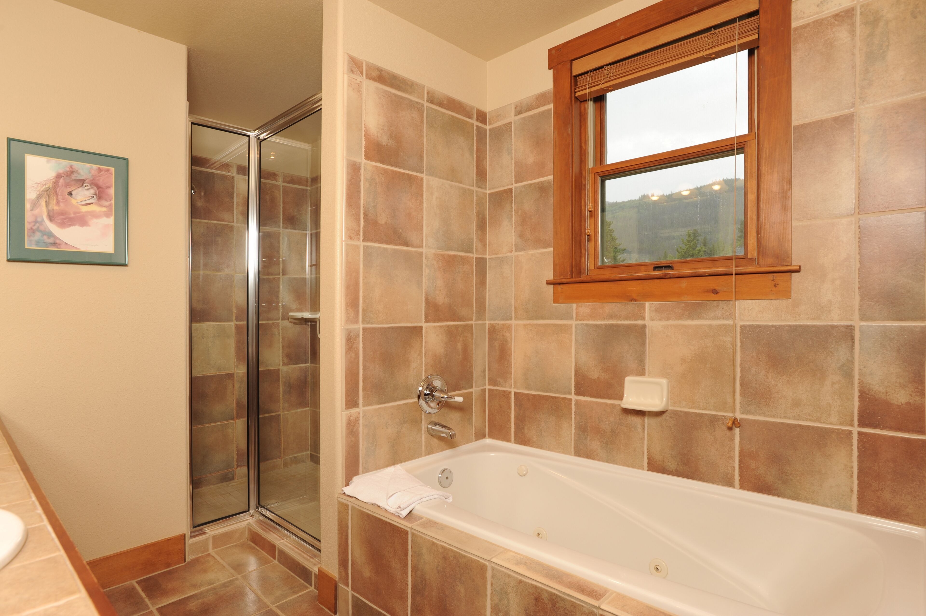 Townhome, 3 Bedrooms | Bathroom | Combined shower/tub, free toiletries, hair dryer, towels