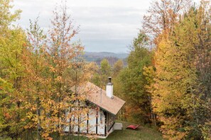 Exterior - Bright and Cozy Clapham Nest (London)