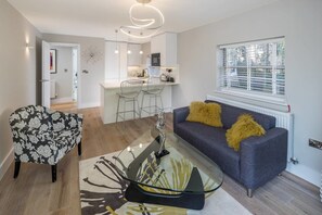 Basic-Apartment, 1 Queen-Bett | Wohnbereich | Fernseher