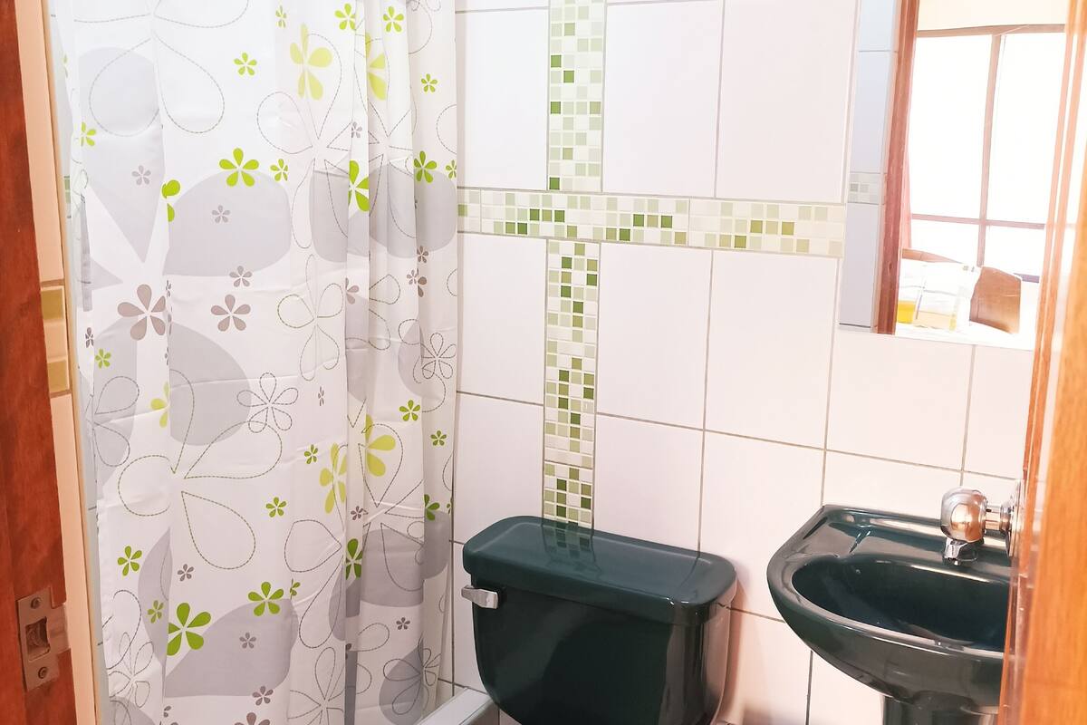 double room | bathroom | shower, hydromassage showerhead, free toiletries, soap