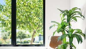 Una habitación con un ventanal grande, una silla, una planta en maceta y piso de madera.