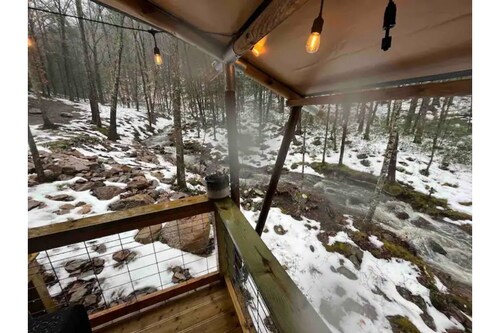 BEARADISE “Glamping Paradise”
