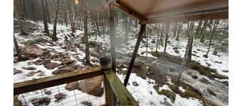 BEARADISE “Glamping Paradise”