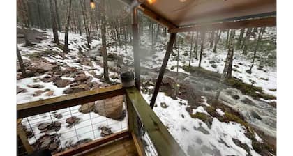 BEARADISE “Glamping Paradise”