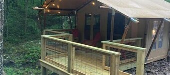 BEARADISE “Glamping Paradise”