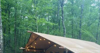 BEARADISE âGlamping Paradiseâ