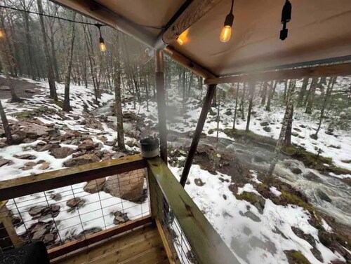 BEARADISE “Glamping Paradise”