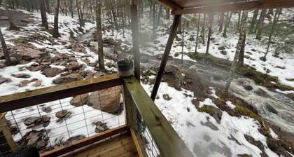 BEARADISE “Glamping Paradise”