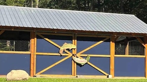 A building with a blue exterior and a metal roof, featuring a unique geometric window design. - BEARADISE “Glamping Paradise” (Vesuvius)
