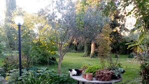 A garden with a round table, potted plants, and a lamp post.