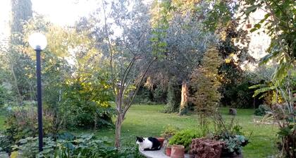 Villa with a big garden close to most important touristic sites.