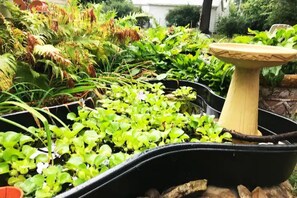 Property grounds - The Gathering Place, rent the entire home (Erie)