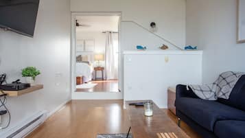 Smart TV, fireplace, books, stereo