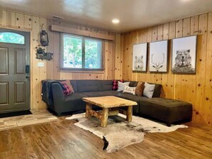 Smart TV, fireplace, DVD player, video library