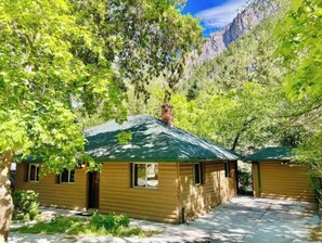 Escape to a secluded cabin nestled among lush greenery, surrounded by dense foliage.
