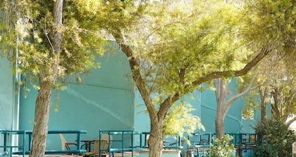 SEVEN Almog