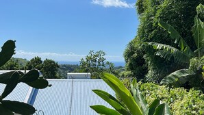 Une piscine dotée d’un toit en métal, entourée d’une végétation luxuriante et offrant une vue sur l’océan.