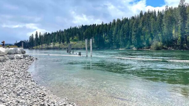 A river with clear water, a rocky shoreline, and a forested hillside in the background. - Riverstone Village Pet Friendly Beach Cruisers Sleeps 6 (Coeur d'Alene)