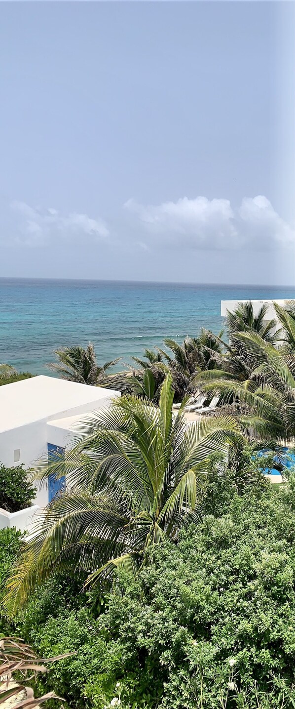 Terrain de l’hébergement 