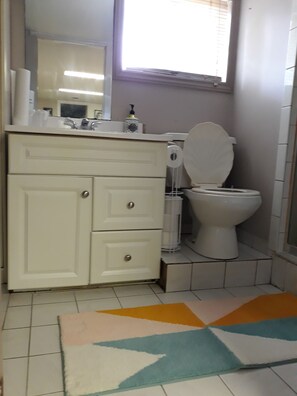 Shower, towels, soap, toilet paper