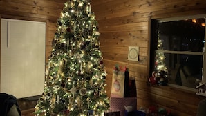 Un árbol de Navidad decorado con luces y adornos, colocado en una habitación con paredes de madera y una ventana.