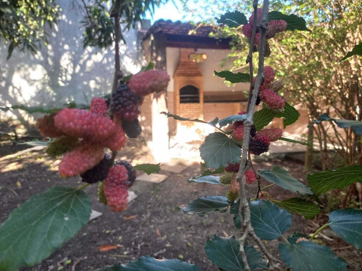 Bild für Gastgeberprofil