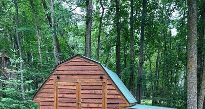 Year Round Dog-friendly Lake Cabin on ATV & Snowmobile trails - sleeps 9 -Outing