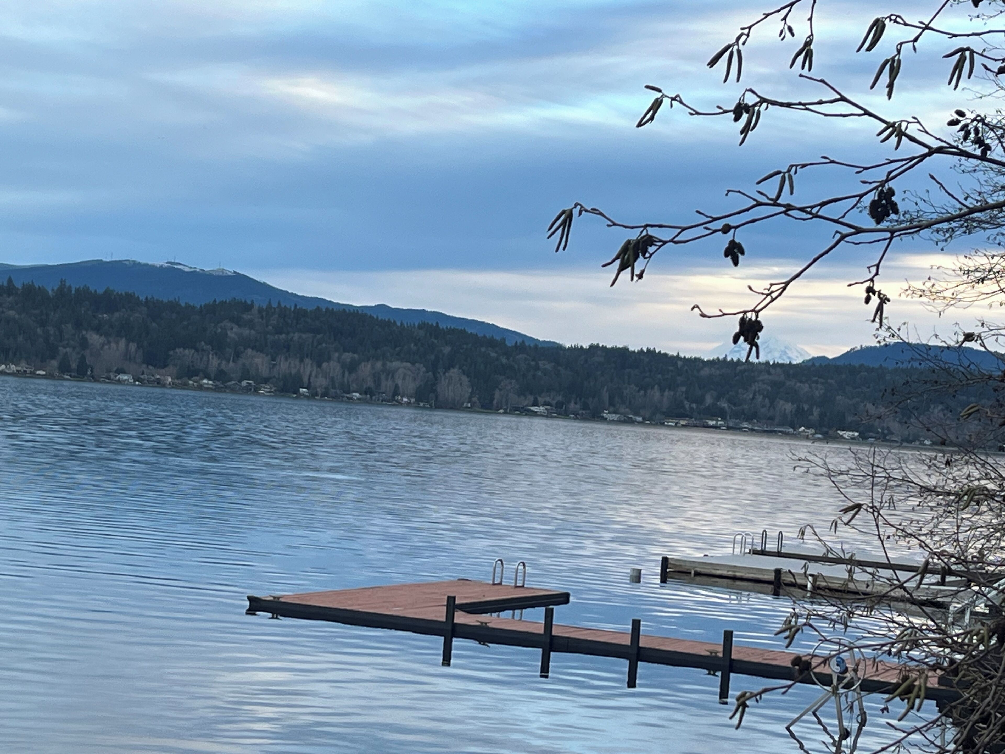 A calm lake with a wooden dock extending into the water.