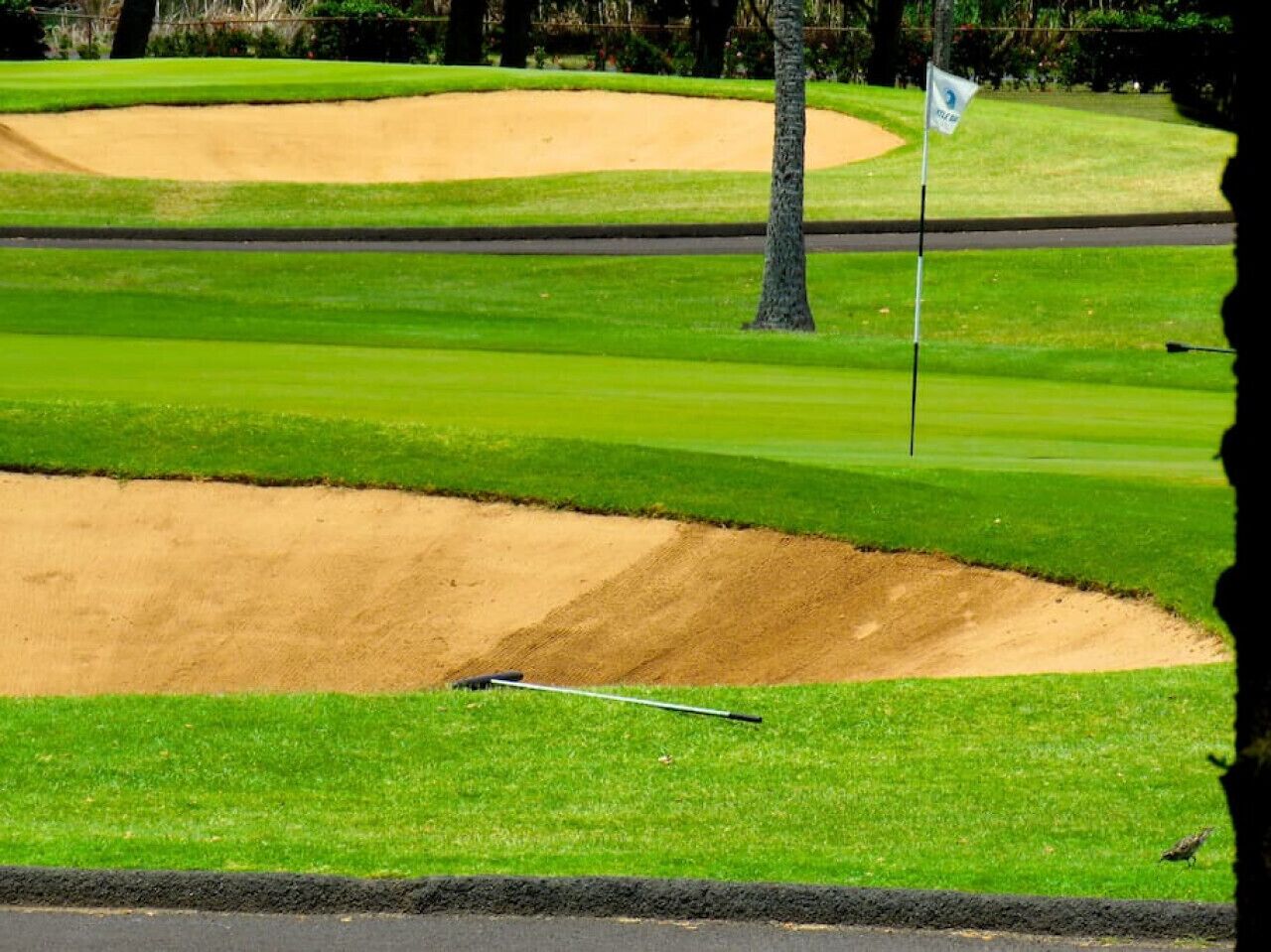 A golf course with a sand bunker and a flagstick.