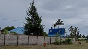 Un campo cubierto de hierba con un muro de piedra, un edificio azul y palmeras.