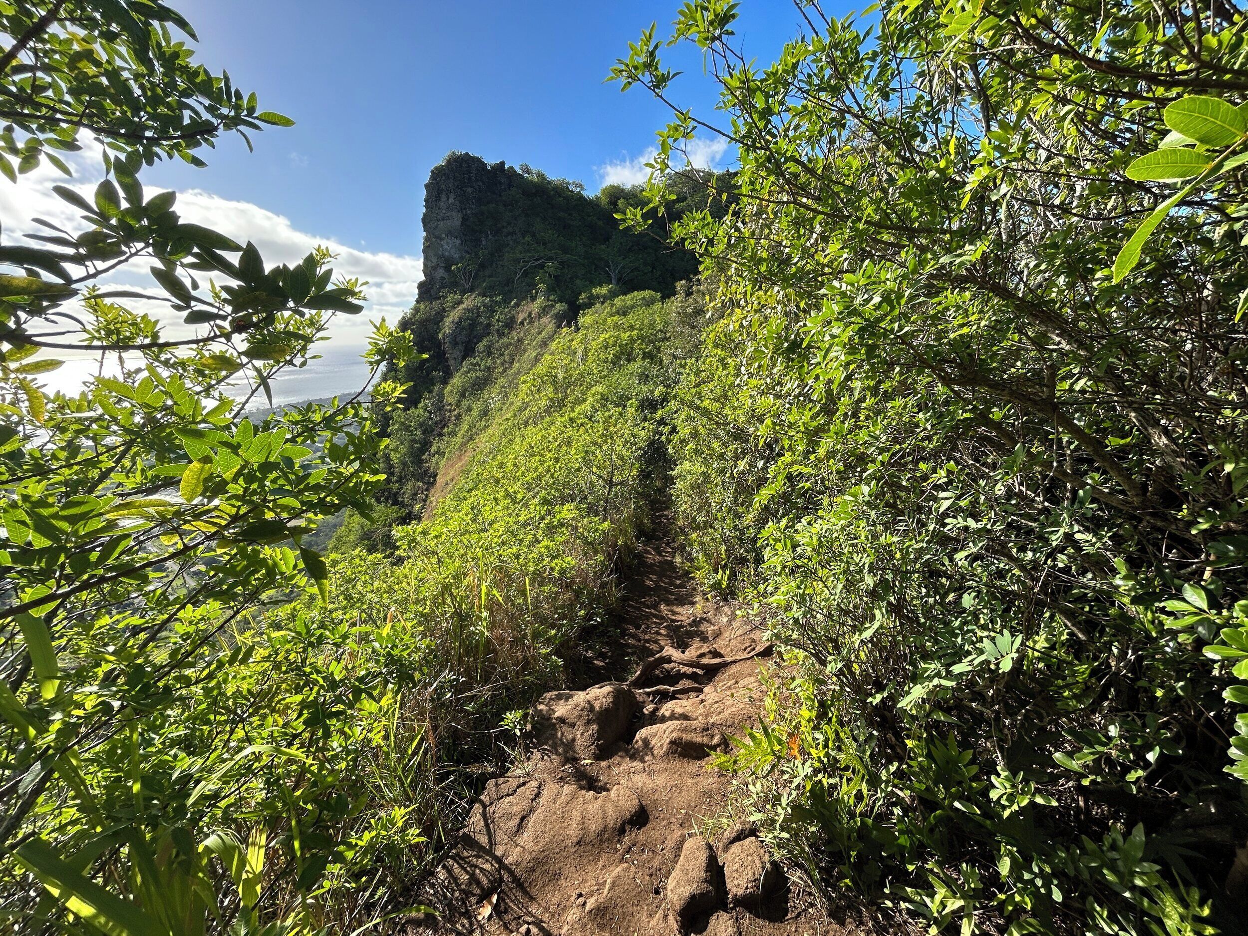 Tackle the steep 1.7 mile ascent of the Sleeping Giant Trail. Enjoy a beautiful 360 view of Kapaa.