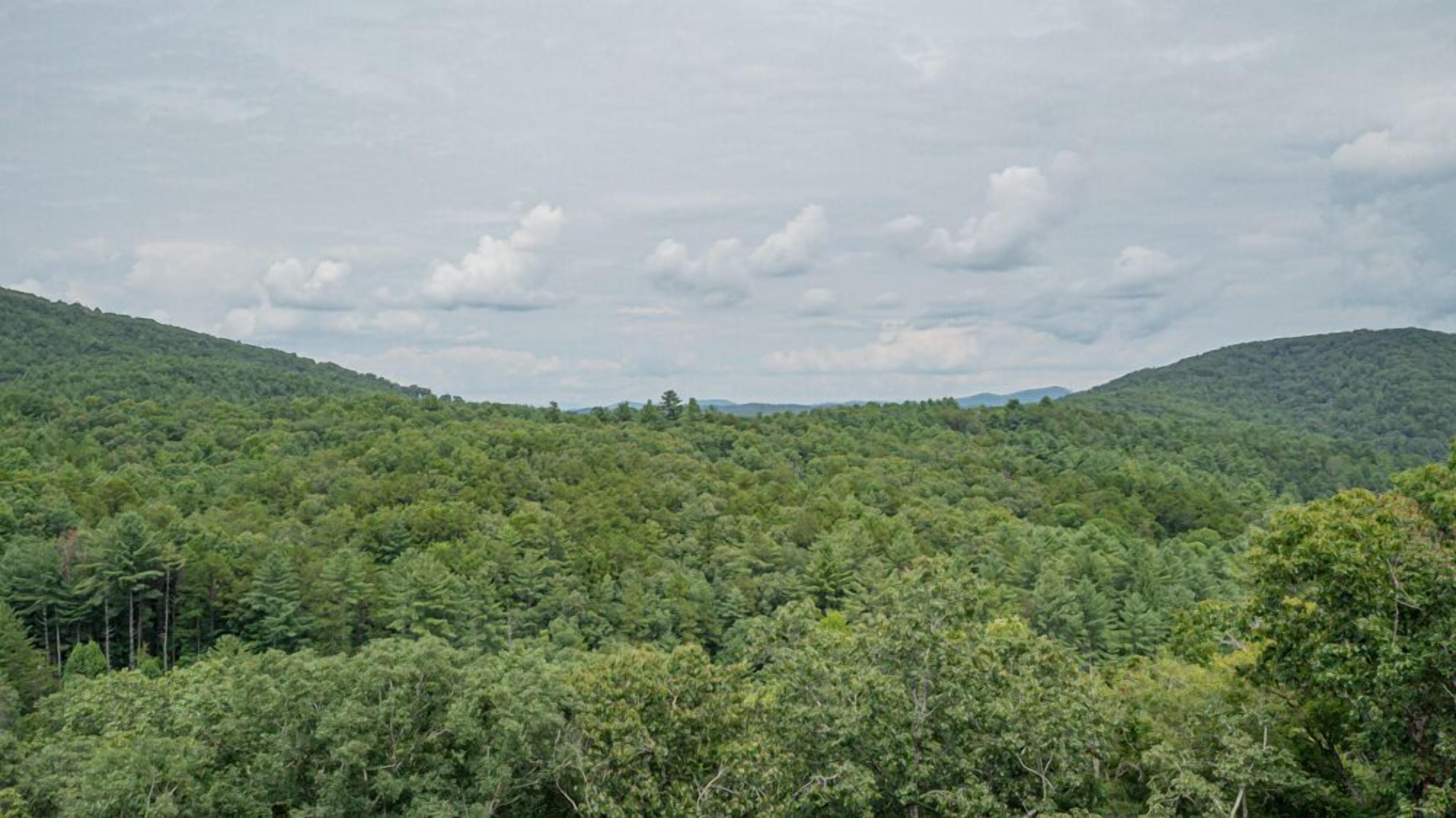 Dicht bewaldete Landschaft mit sanften Hügeln und einem bewölkten Himmel.