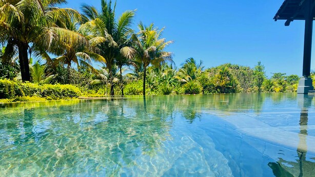 Une piscine aux eaux cristallines, entourée d’une végétation luxuriante et de palmiers.