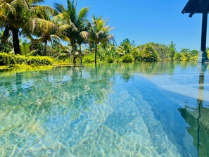 Une piscine aux eaux cristallines, entourée d’une végétation luxuriante et de palmiers.